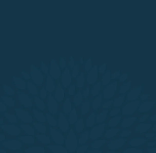 banner thumb4